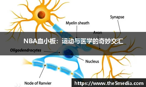 澳门新葡萄新京威尼斯987网址